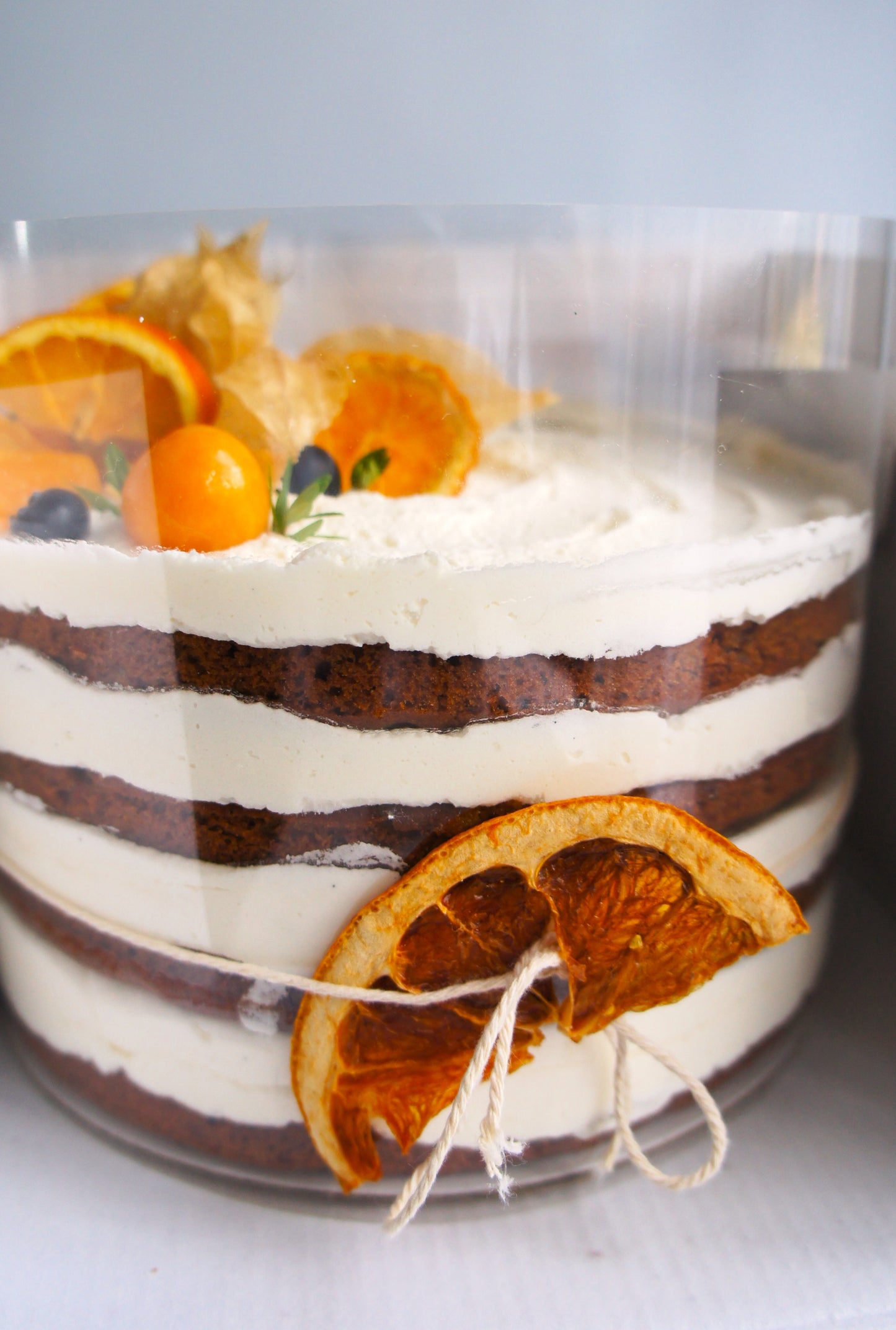 Layered dessert with whipped cream and dried oranges on a light background