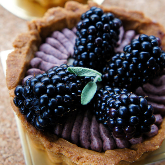 Mixed Fruit Tart - Set of 4 (Vegan/GF) image 0